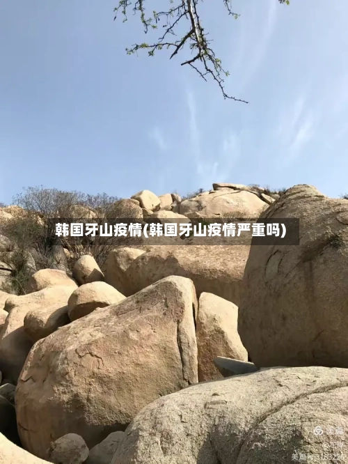 韩国牙山疫情(韩国牙山疫情严重吗)-第2张图片