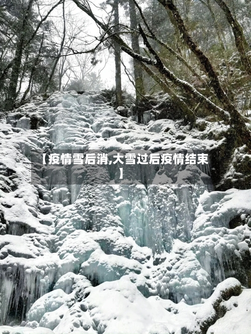 【疫情雪后消,大雪过后疫情结束】