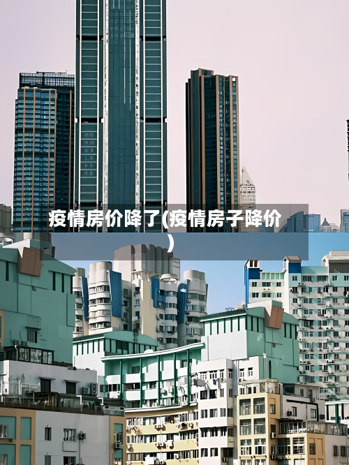 疫情房价降了(疫情房子降价)
