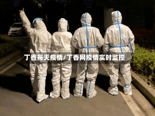 丁香每天疫情/丁香网疫情实时监控-第1张图片