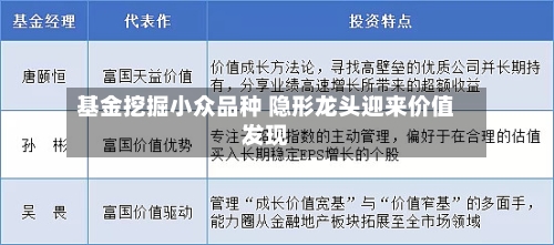 基金挖掘小众品种 隐形龙头迎来价值发现