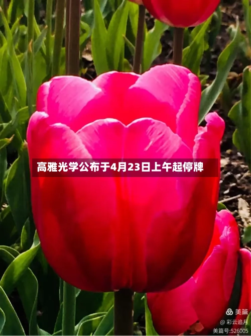 高雅光学公布于4月23日上午起停牌-第2张图片