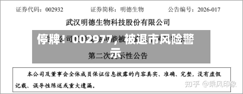 停牌！002977，被退市风险警示-第2张图片