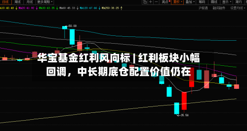 华宝基金红利风向标 | 红利板块小幅回调，中长期底仓配置价值仍在