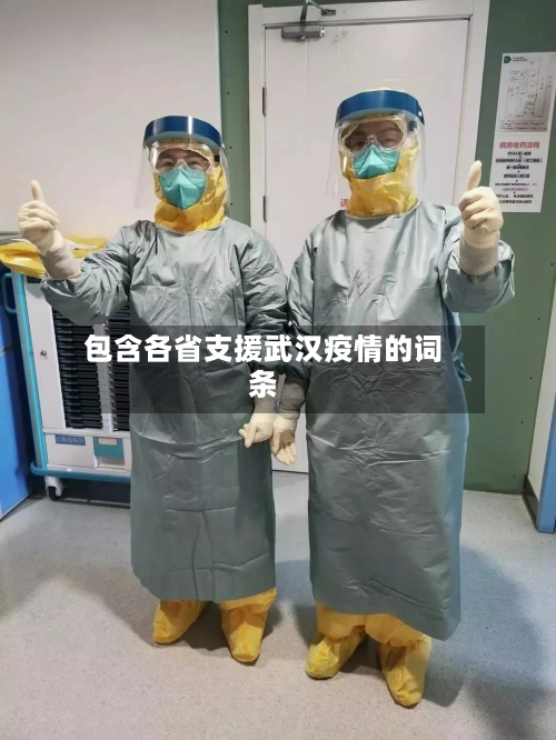 包含各省支援武汉疫情的词条