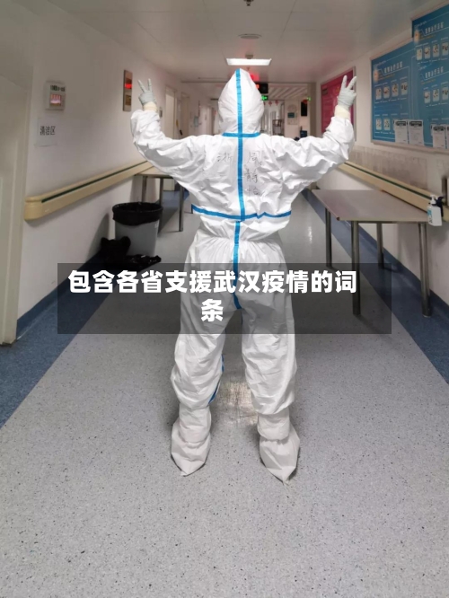 包含各省支援武汉疫情的词条-第3张图片