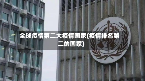 全球疫情第二大疫情国家(疫情排名第二的国家)
