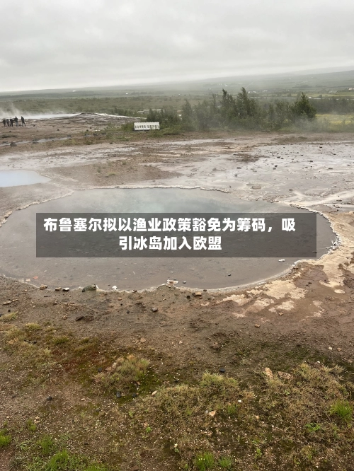 布鲁塞尔拟以渔业政策豁免为筹码，吸引冰岛加入欧盟-第2张图片