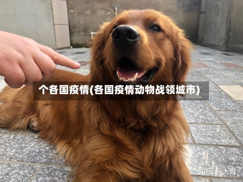 个各国疫情(各国疫情动物战领城市)