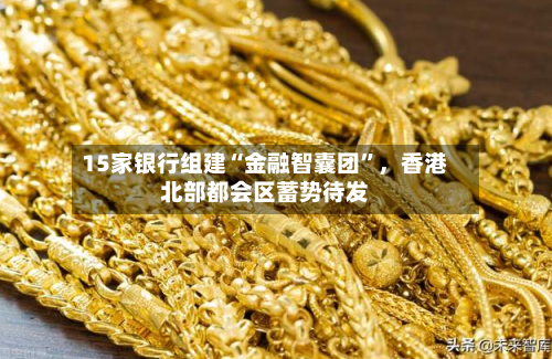 15家银行组建“金融智囊团”，香港北部都会区蓄势待发-第2张图片
