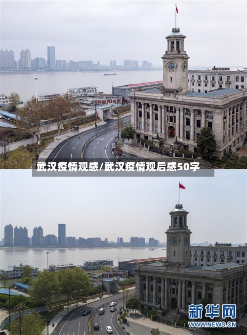武汉疫情观感/武汉疫情观后感50字-第2张图片