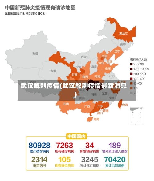 武汉解剖疫情(武汉解剖疫情最新消息)
