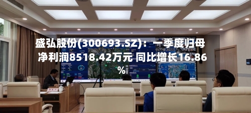 盛弘股份(300693.SZ)：一季度归母净利润8518.42万元 同比增长16.86%