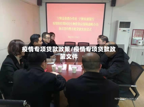 疫情专项贷款政策/疫情专项贷款政策文件