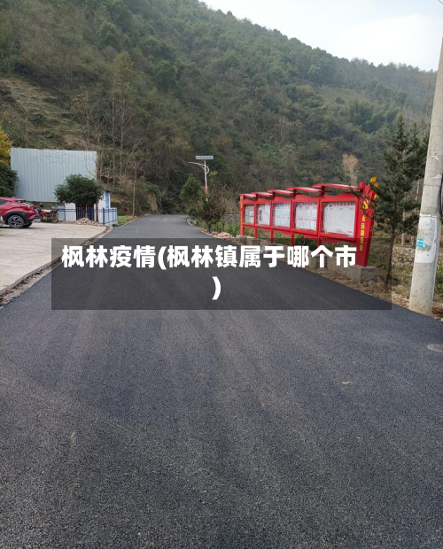 枫林疫情(枫林镇属于哪个市)-第2张图片