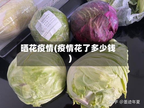 晒花疫情(疫情花了多少钱)-第2张图片