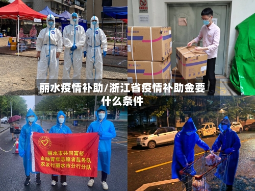 丽水疫情补助/浙江省疫情补助金要什么条件-第2张图片