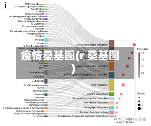 疫情桑基图(r 桑基图)