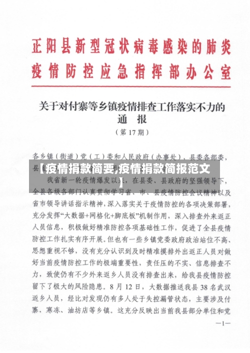 【疫情捐款简要,疫情捐款简报范文】