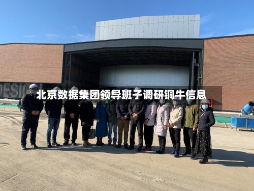北京数据集团领导班子调研铜牛信息-第2张图片