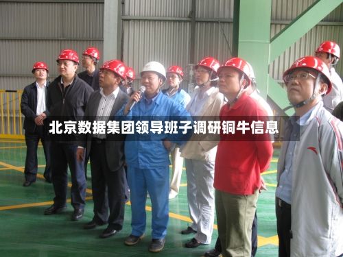 北京数据集团领导班子调研铜牛信息-第3张图片