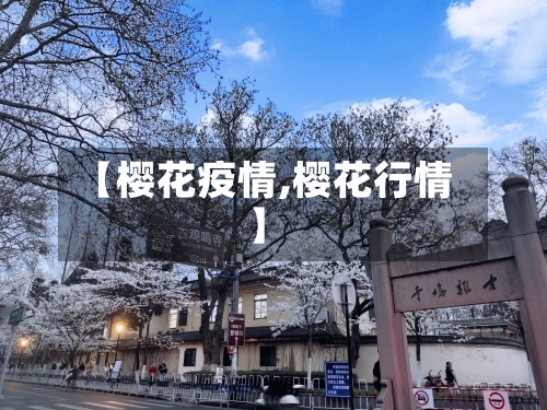 【樱花疫情,樱花行情】-第2张图片
