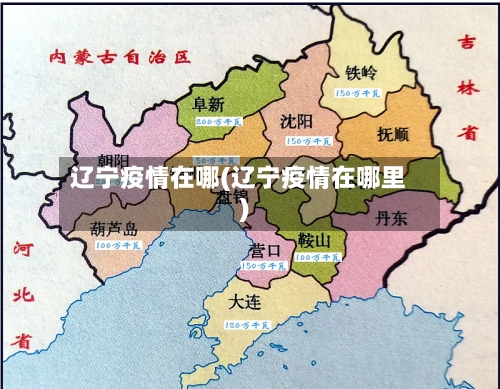 辽宁疫情在哪(辽宁疫情在哪里)-第2张图片