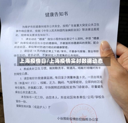 上海疫情日/上海疫情实时数据动态-第3张图片