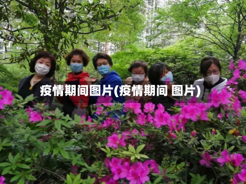 疫情期间图片(疫情期间 图片)