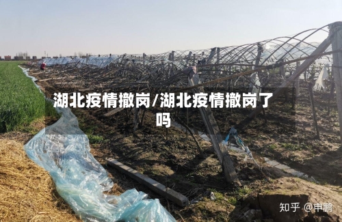 湖北疫情撤岗/湖北疫情撤岗了吗