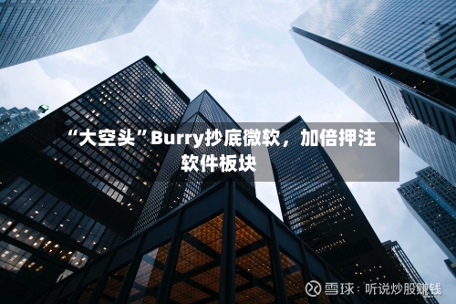 “大空头”Burry抄底微软，加倍押注软件板块-第2张图片