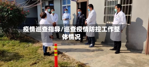 疫情巡查指导/巡查疫情防控工作整体情况