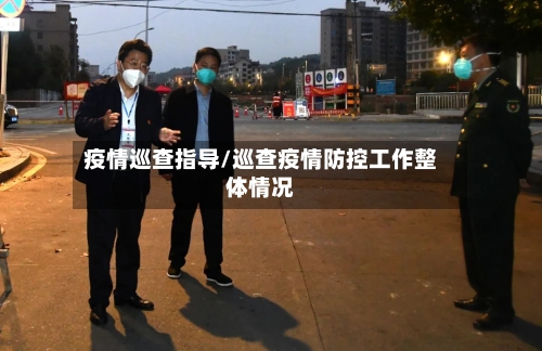 疫情巡查指导/巡查疫情防控工作整体情况-第3张图片