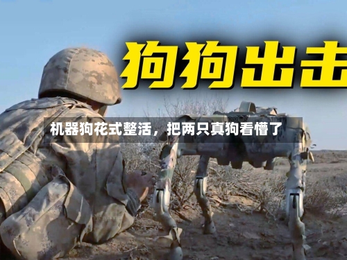 机器狗花式整活	，把两只真狗看懵了-第2张图片