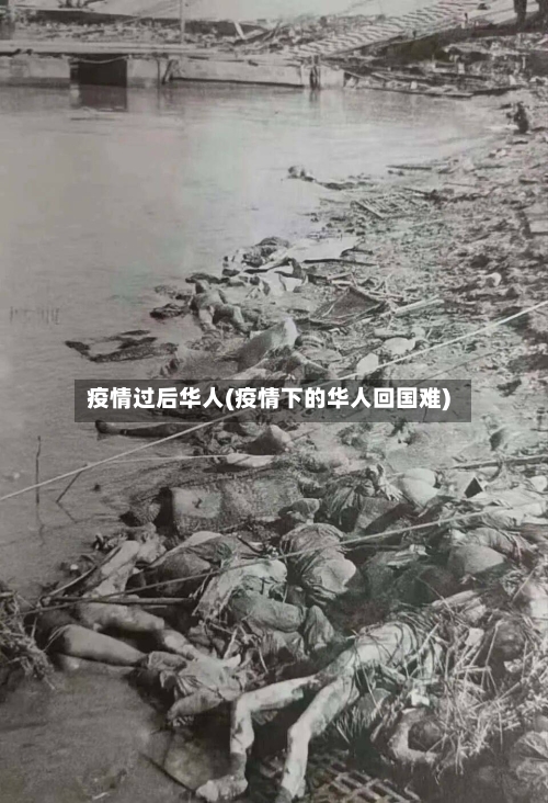 疫情过后华人(疫情下的华人回国难)