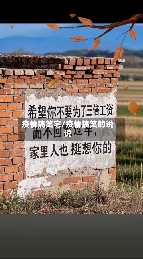 疫情搞笑宅/疫情搞笑的说说-第2张图片