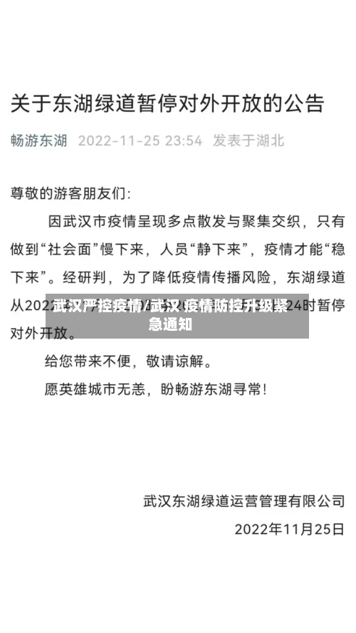 武汉严控疫情/武汉 疫情防控升级紧急通知-第2张图片