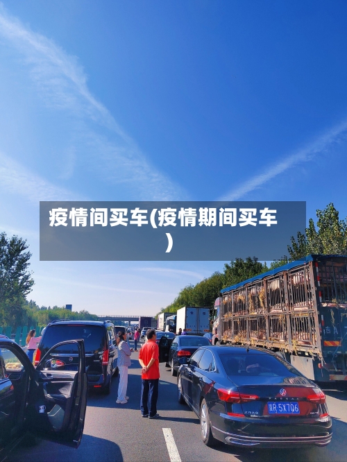 疫情间买车(疫情期间买车)-第2张图片