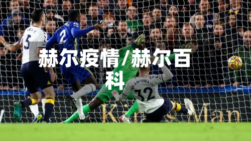 赫尔疫情/赫尔百科