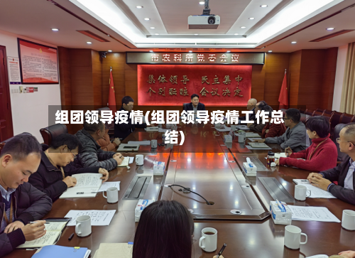 组团领导疫情(组团领导疫情工作总结)-第2张图片