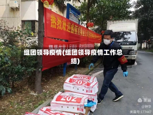 组团领导疫情(组团领导疫情工作总结)-第3张图片