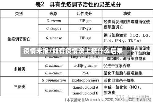 疫情未报/如有疫情没上报什么后果