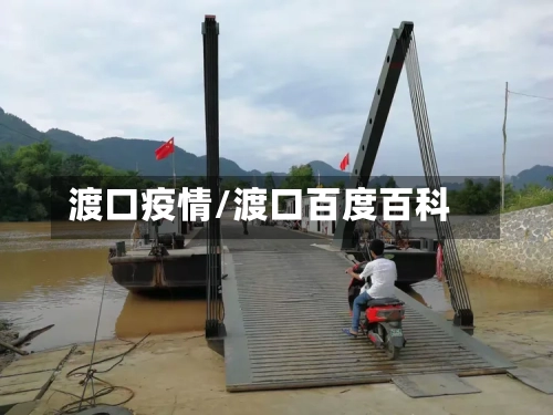 渡口疫情/渡口百度百科