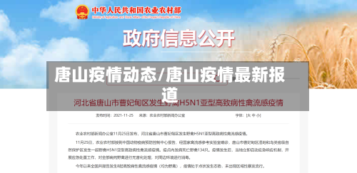 唐山疫情动态/唐山疫情最新报道-第3张图片