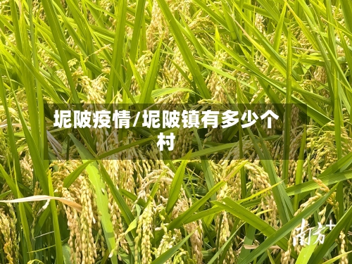 坭陂疫情/坭陂镇有多少个村-第2张图片