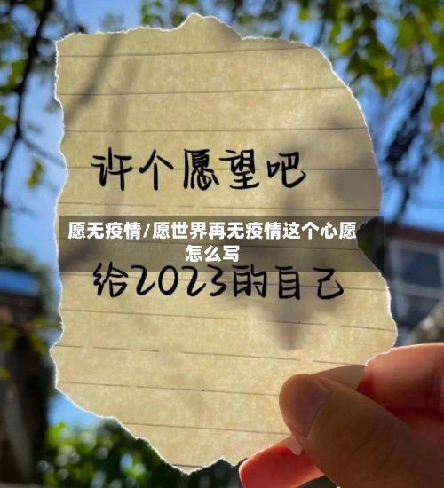 愿无疫情/愿世界再无疫情这个心愿怎么写-第3张图片