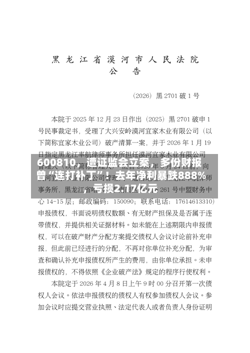 600810，遭证监会立案，多份财报曾“连打补丁”！去年净利暴跌888%，亏损2.17亿元