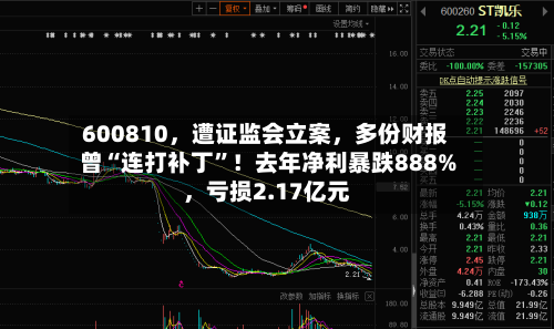 600810	，遭证监会立案，多份财报曾“连打补丁”！去年净利暴跌888%，亏损2.17亿元-第2张图片