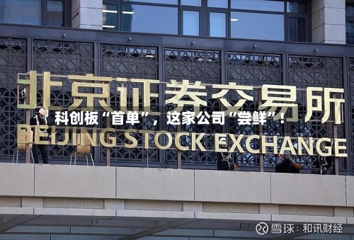 科创板“首单”，这家公司“尝鲜	”！-第2张图片