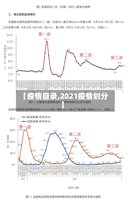 【疫情目录,2021疫情划分】